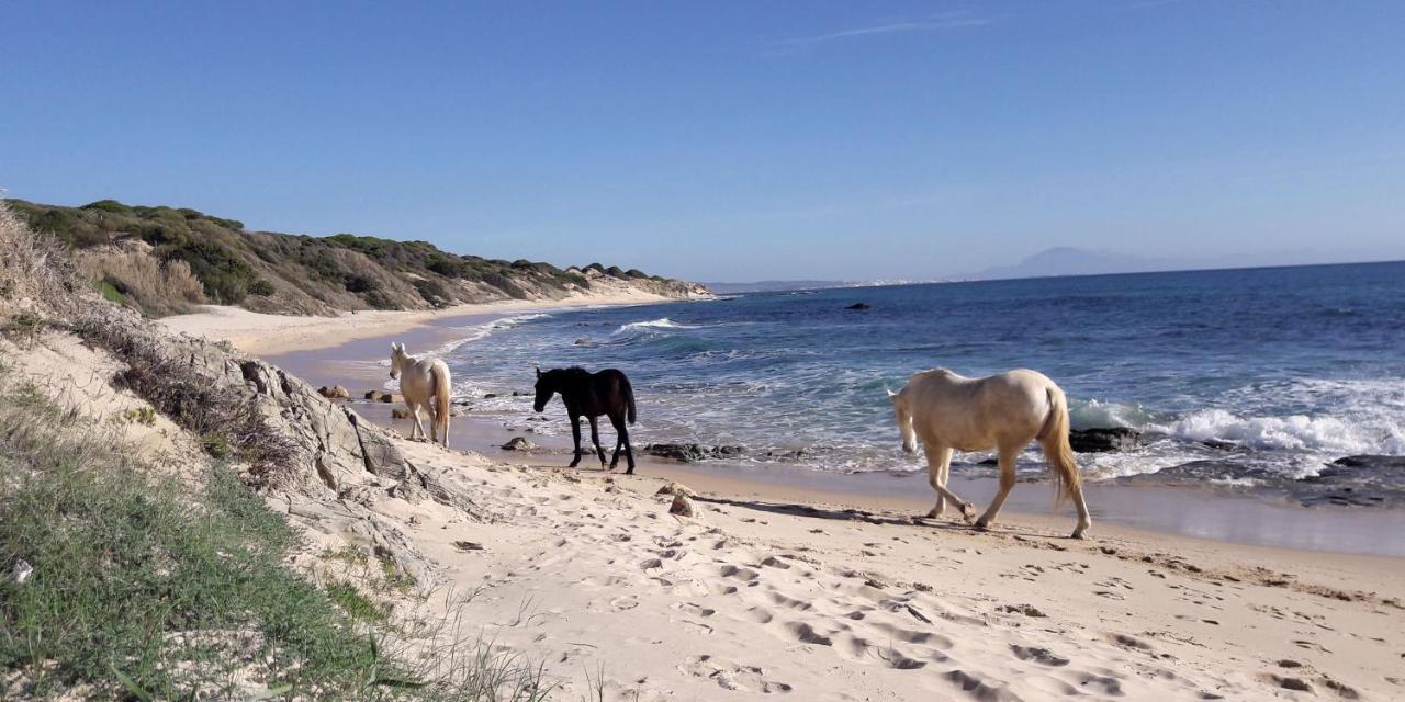 Tarifa-Blick Auf Afrika, Haus Am Meer, Haustiere Erlaubt Kültér fotó